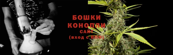 соль ск Верхний Тагил