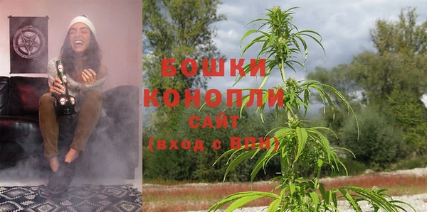 соль ск Верхний Тагил