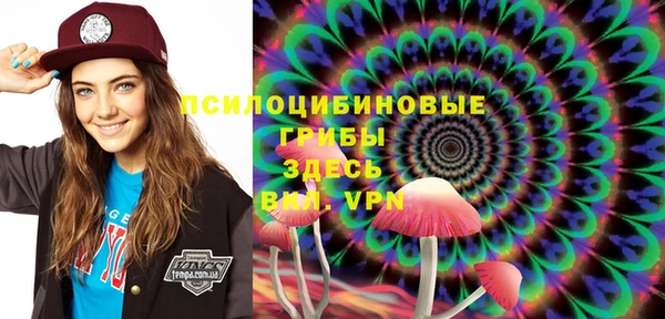 соль ск Верхний Тагил