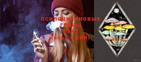 ешки Верея