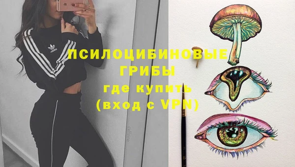 соль ск Верхний Тагил