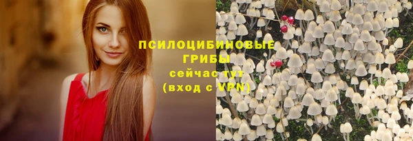 ешки Верея